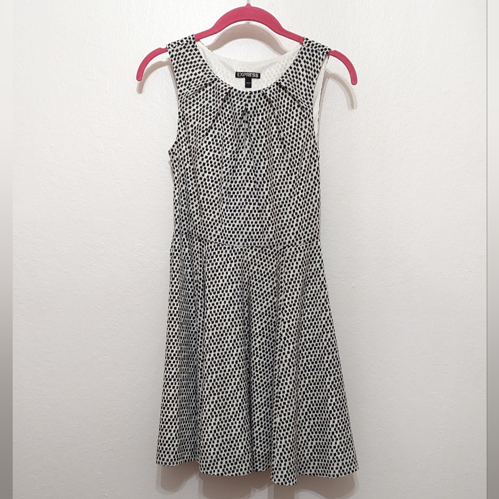 Express Fit and Flare Dress